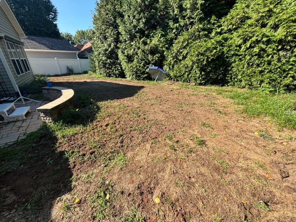 HELP! Lol, tired of my trying for a perfect lawn…
