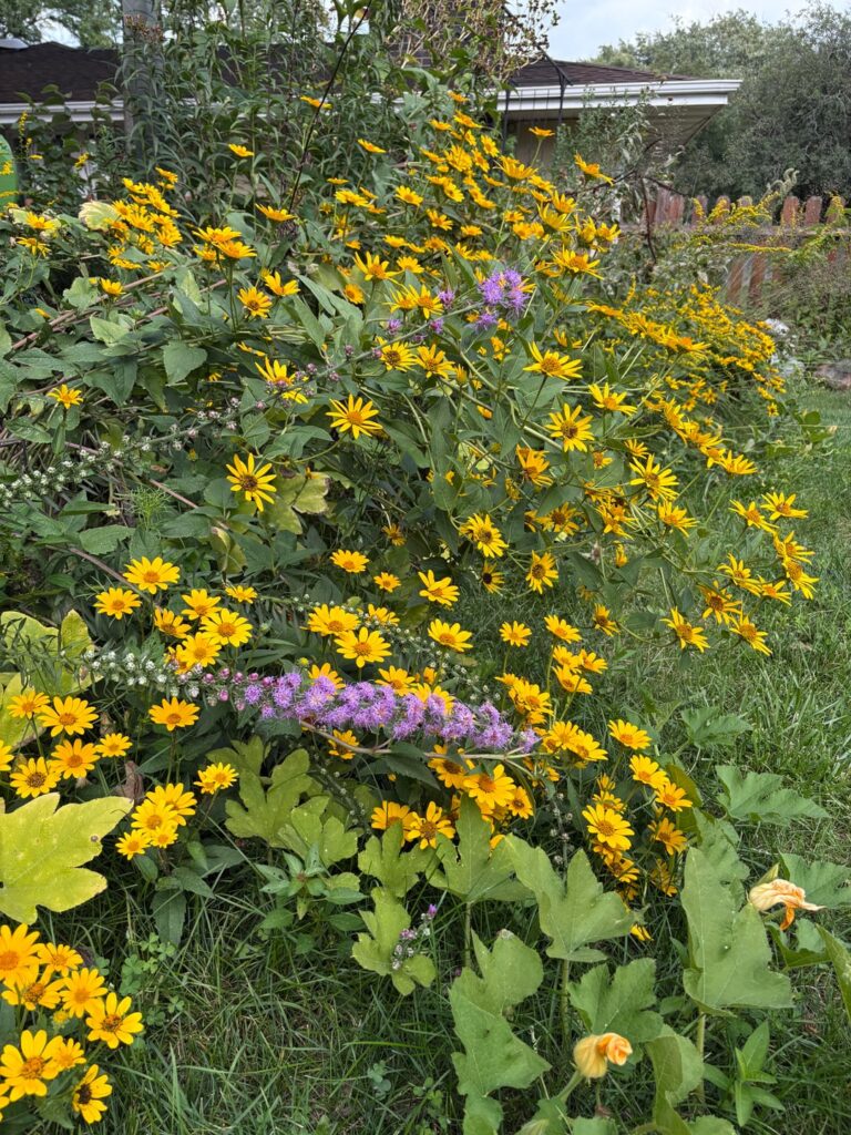 Fall natives are the best