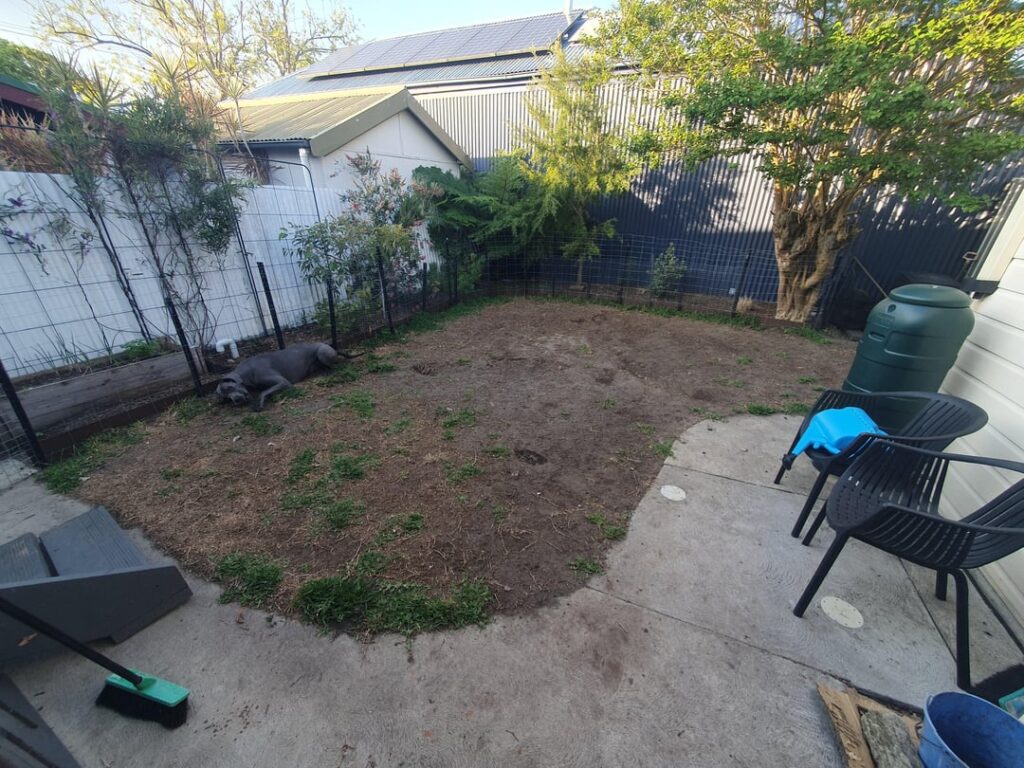 Lawn free with 2 x big dogs, Australia Lawn free with 2 x big dogs, Australia
