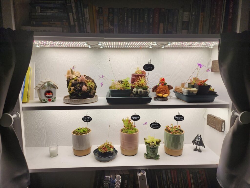 Updates on the whole collection