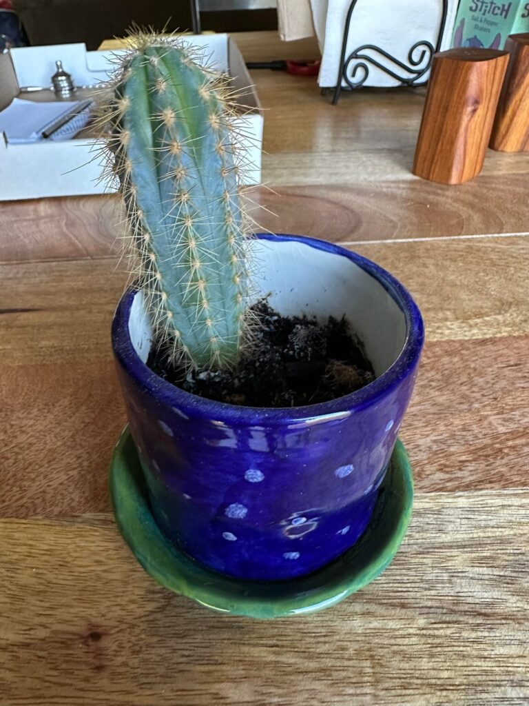 I want to be proactive before I kill this one