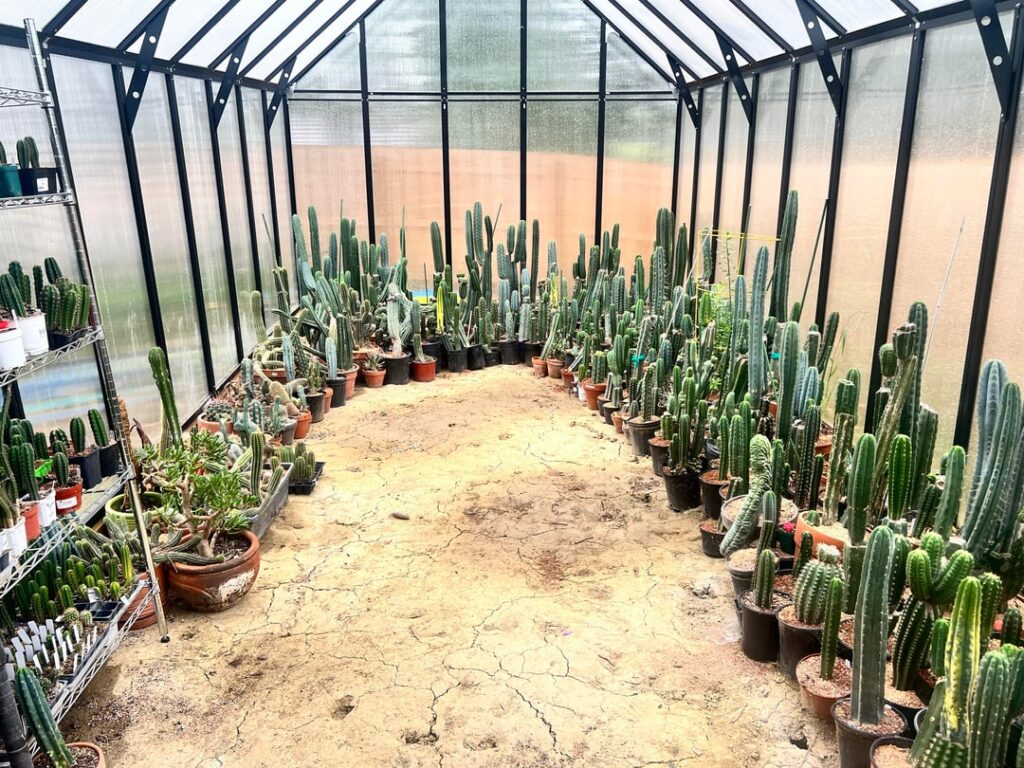 Long weekend greenhouse shots