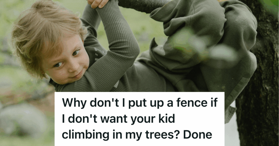 kid climbing a tree