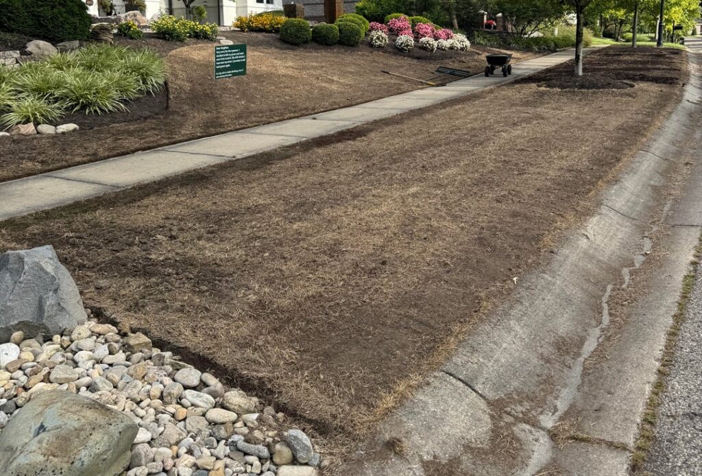 Lawn renovation update