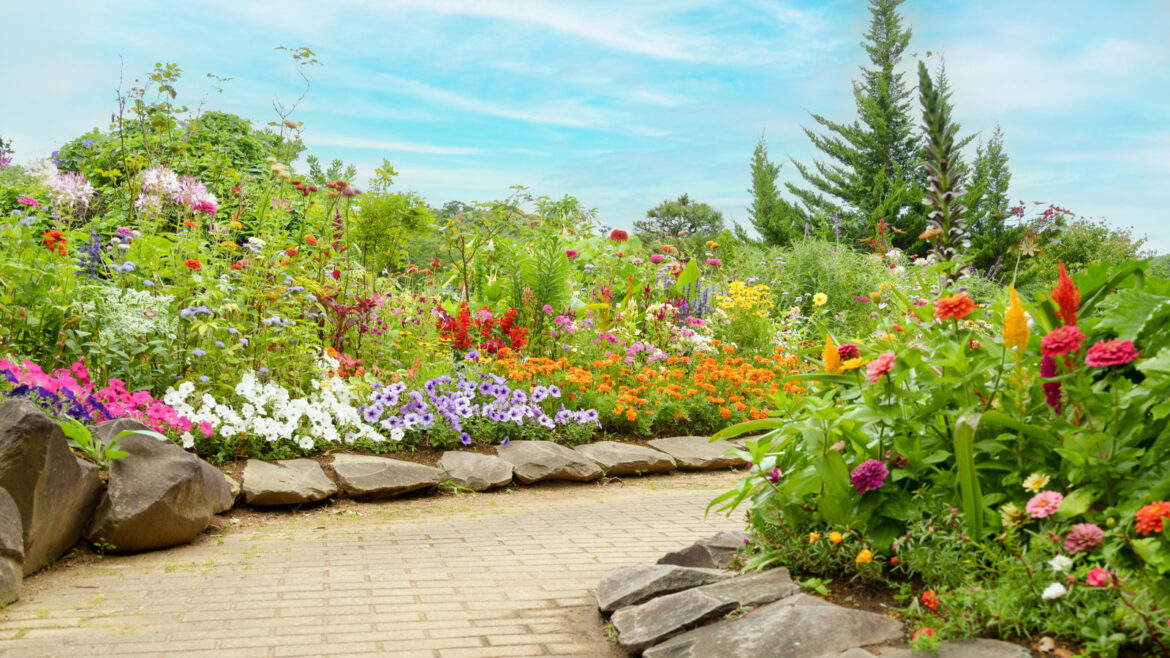 22 Ground Covers That Bloom Multiple Times A Year For Continuous Color