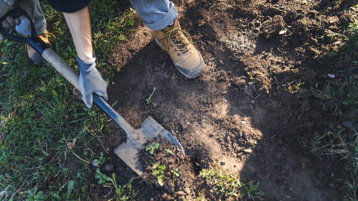 ‘I call it the Devil’s underpants’ "Unfortunately, I learned the hard way."