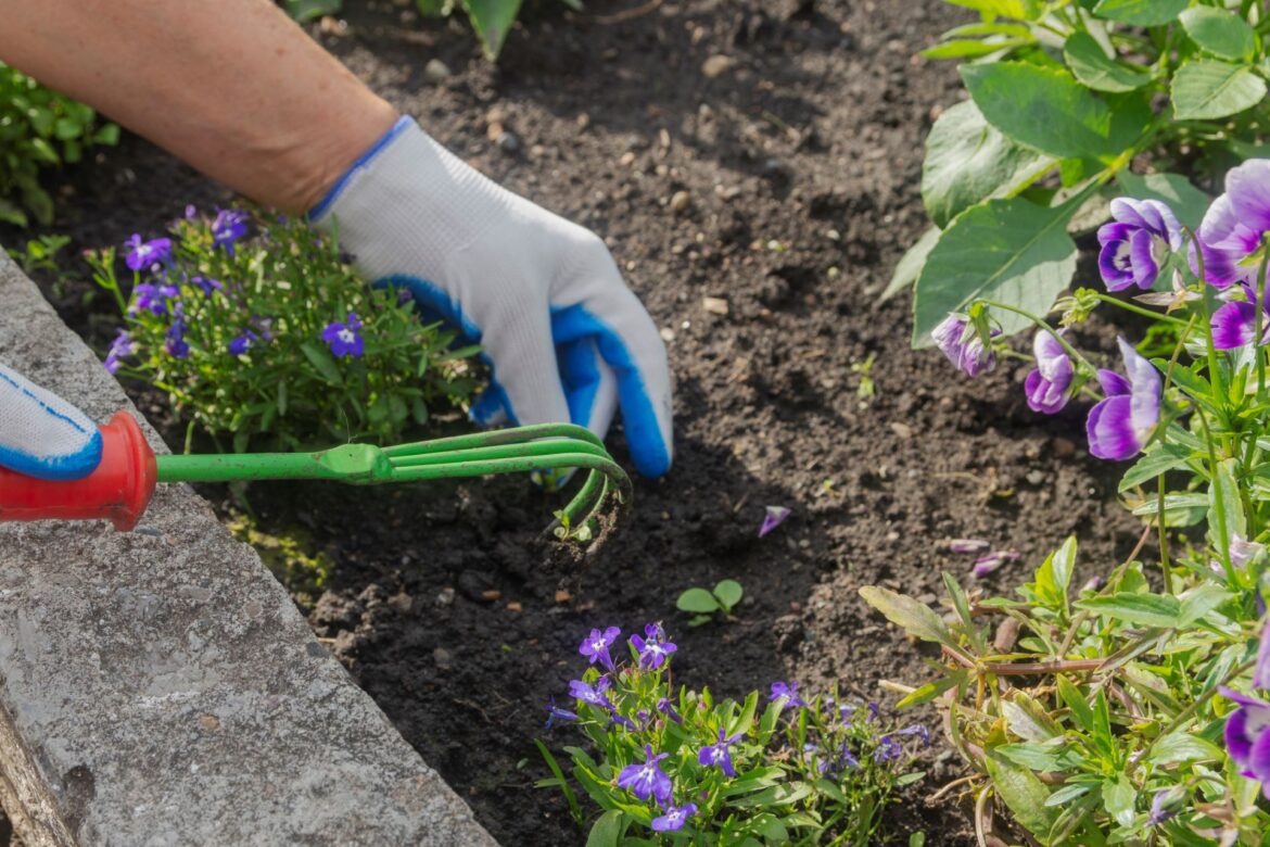 ‘It is such a huge task’ "Way to go!"