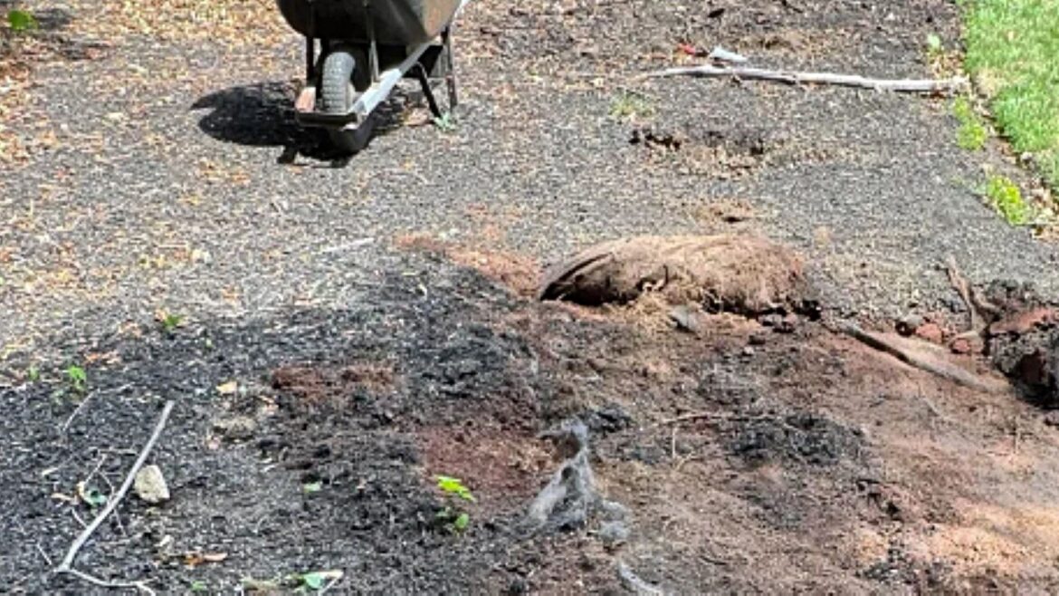 Other Redditors have found themselves running into the same issue as the OP.