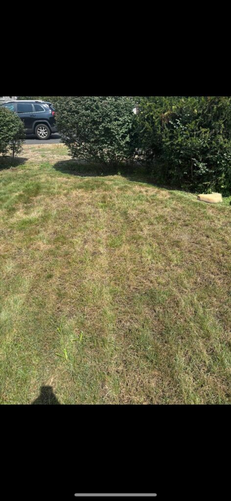 The Grow Up! Swipe 👉