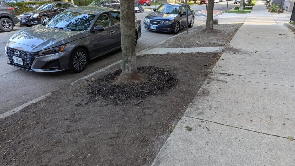 How'd we do? Excavating a root flare