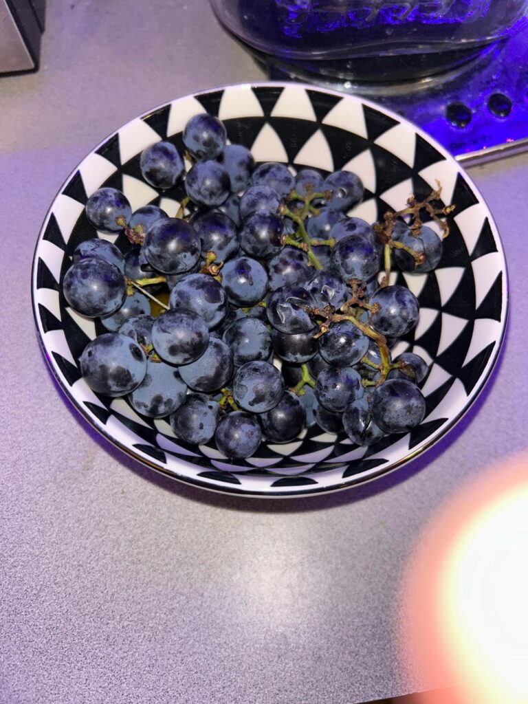 Bought at Amish market in Philly – what kind of grapes are these? Bought at Amish market in Philly - what kind of grapes are these?