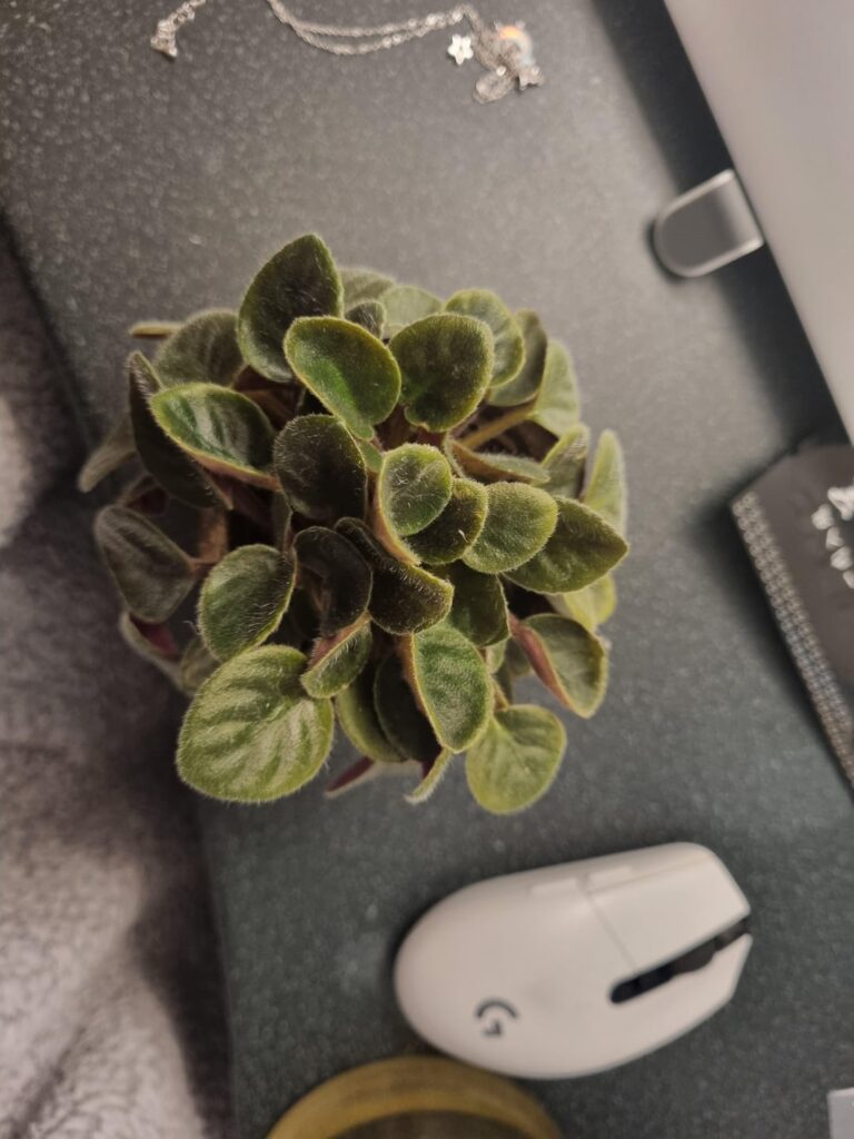 Growing like crazy? Do I cut leaves off? Growing like crazy? Do I cut leaves off?