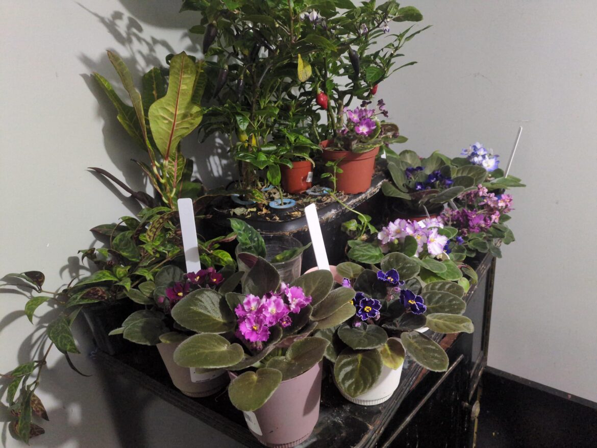 My little corner of chaos