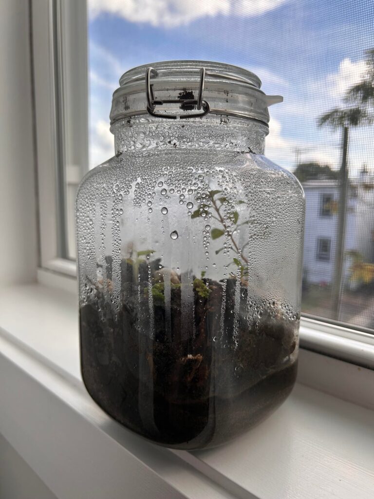 First new biosphere in three years, open to feedback