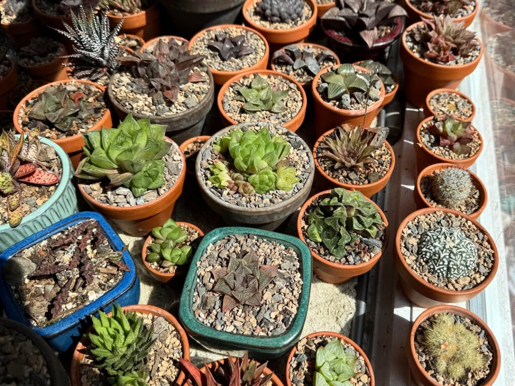 There’s always room for one more 😉