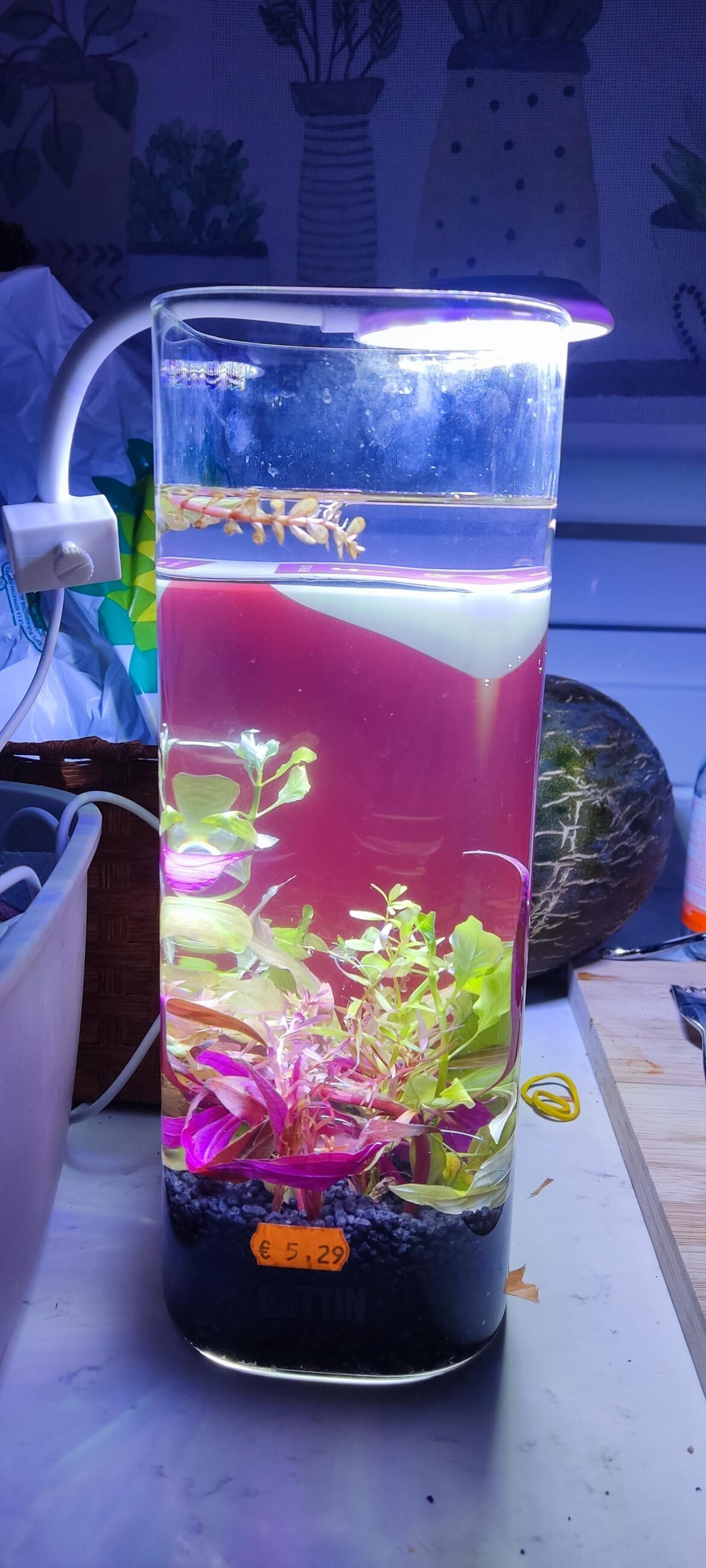 A jarrarium to help create other jarrariums A jarrarium to help create other jarrariums