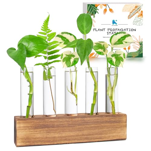 Kaxyew Plant Propagation Station, Plants Propagation Tubes, Gifts for Plant Lovers, Plants Cutting Holder Test Tube Vase Office Desk Garden D&eacute;cor Gift for Her Mom Women Hydroponic Vase Gift Box