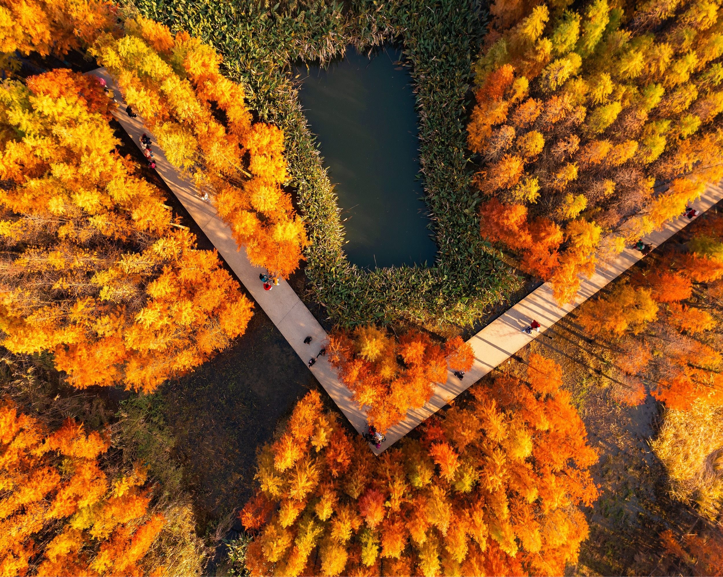 fish tail park, nanchang