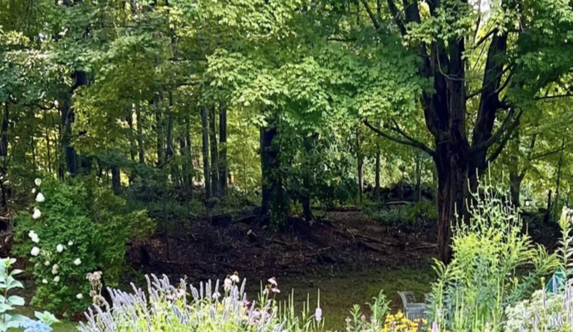 ‘It must have been a ton of work’ "What I dream of."