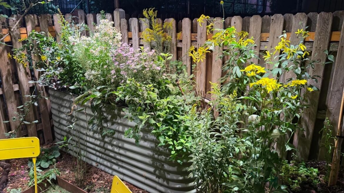 "I love everything about this."