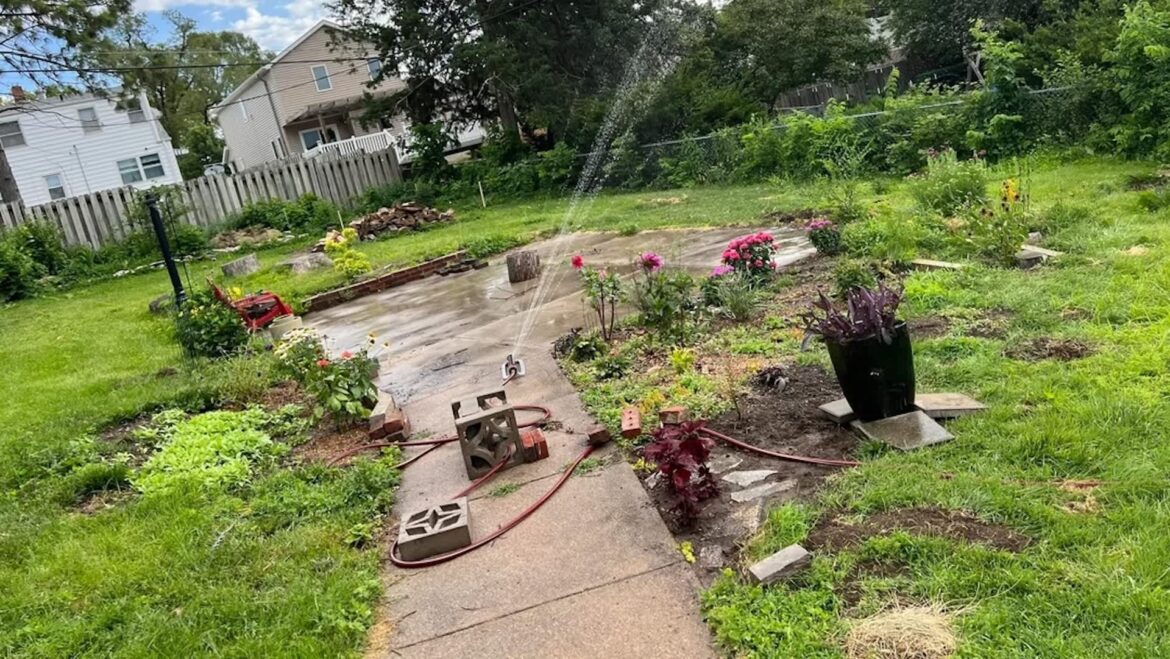Homeowner shares before-and-after photos after ditching traditional yard: ‘What a difference’ "This is impressive and must make the pollinators so happy."