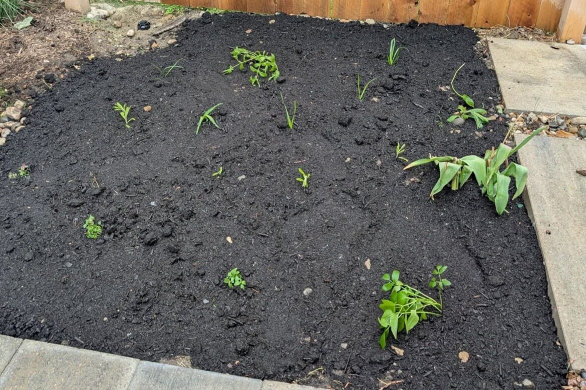 ‘Can’t believe that’s a few months progress’ "They require so little and give so much!"