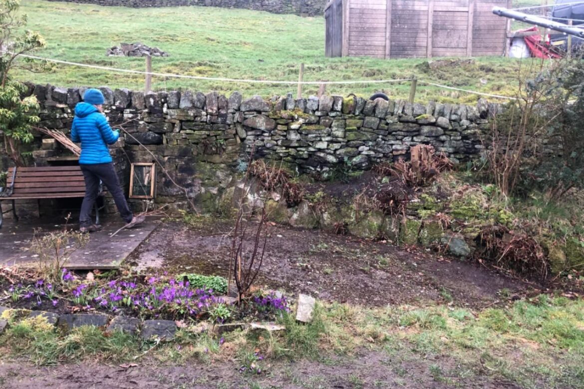 Homeowner shares stunning before-and-after photos of garden transformation: ‘That’s seriously awesome’ "You've put a lot of hard work into it."
