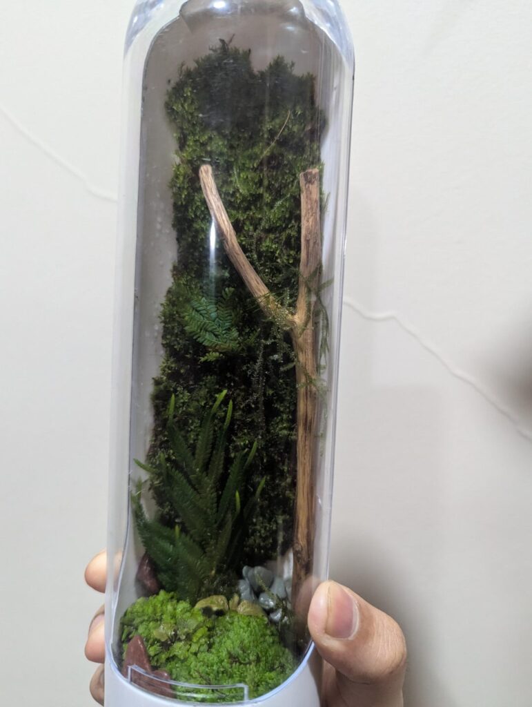 Finally put the moss I collected to good use and built my first two terrariums Finally put the moss I collected to good use and built my first two terrariums