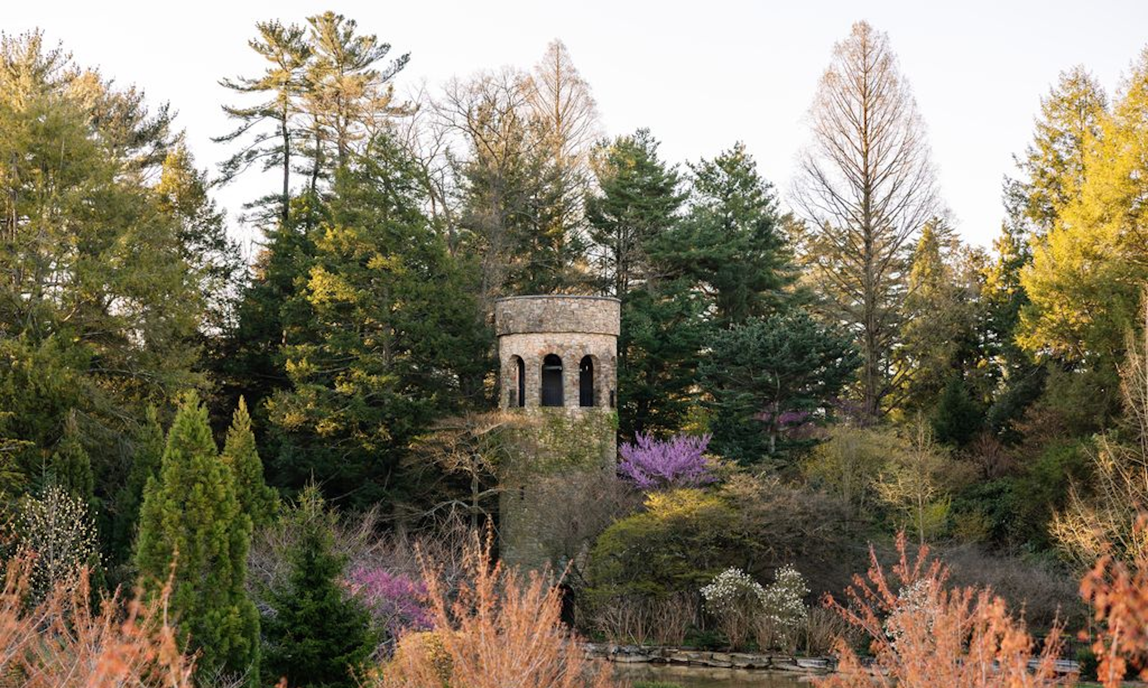 Trees at Longwood Gardens