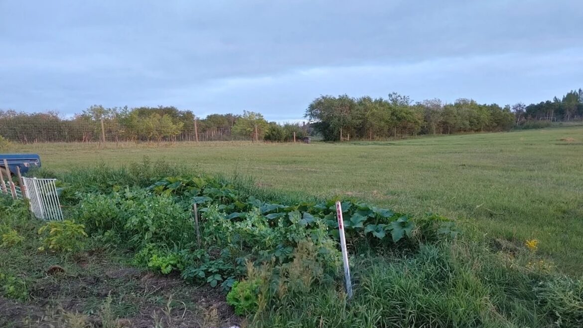 ‘Kudos to you for taking on such a challenge’ "Keep up the good work!"
