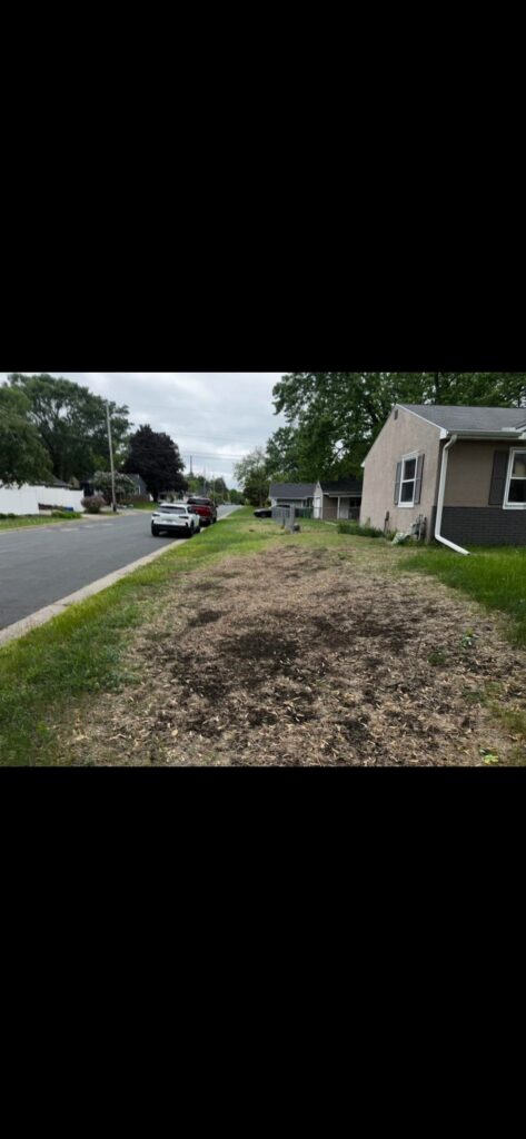 Came a long way! Came a long way!