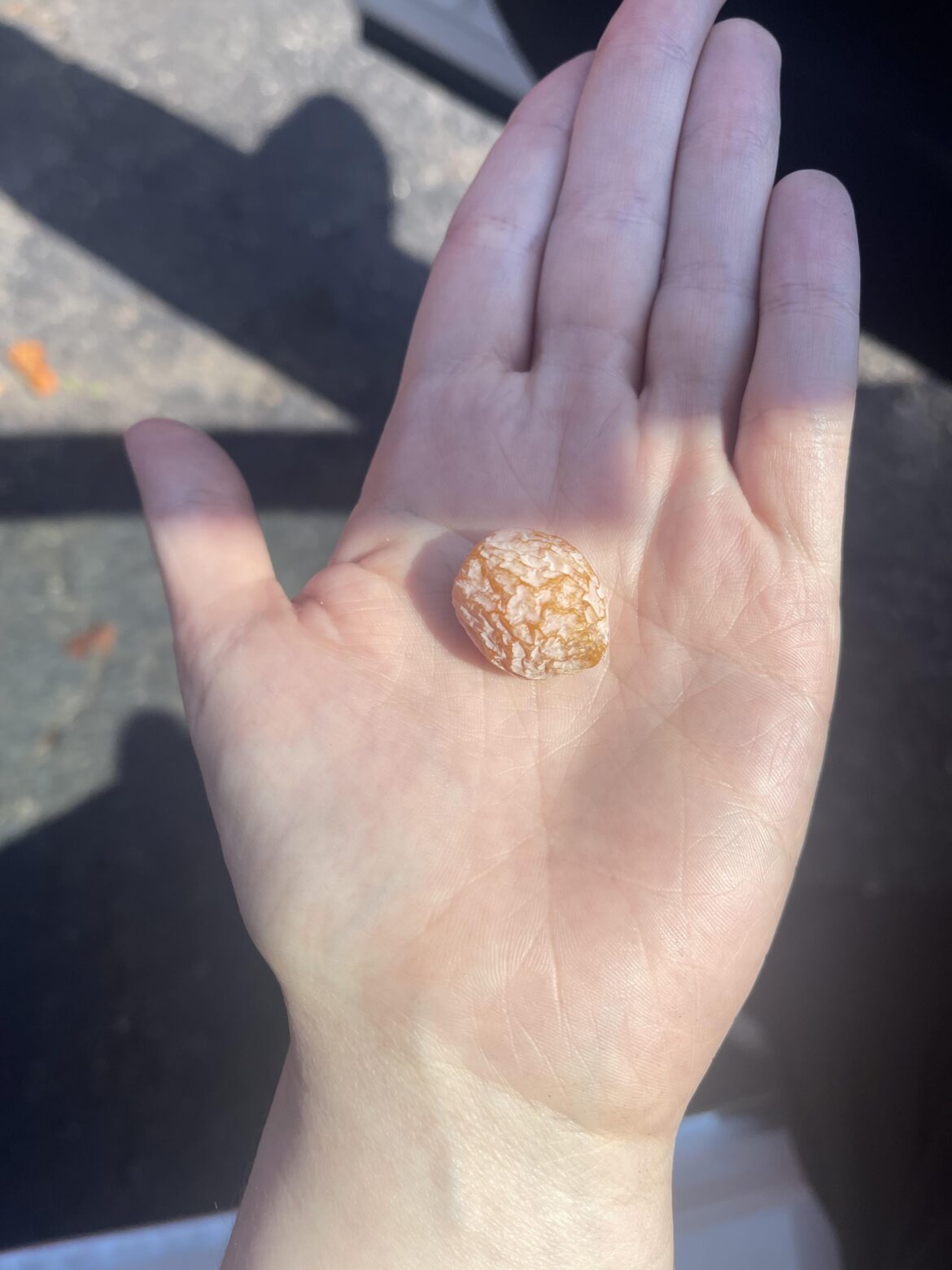 What is this wrinkly orange fruit? What is this wrinkly orange fruit?