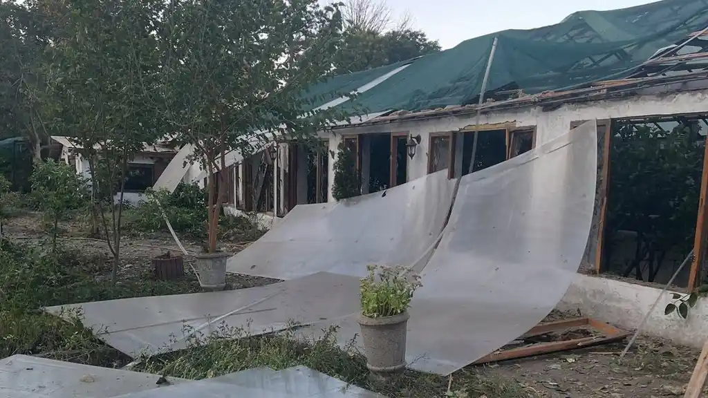 Odesa Botanical Garden Damaged by Drone Strikes, Calls for Volunteer Help