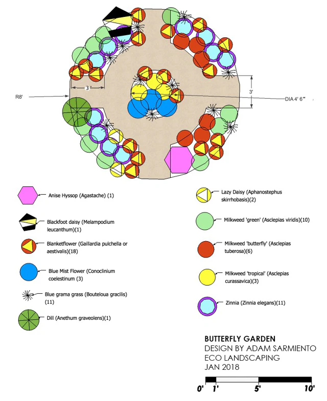 Okies for Monarch Diagram