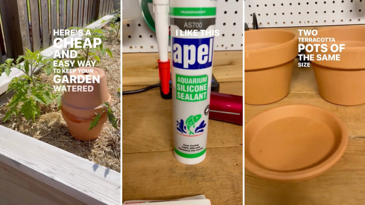 ‘Keeping your plants nice and hydrated’ "Thank you for this."