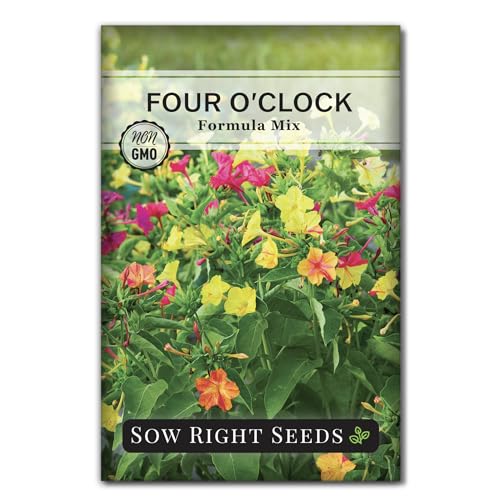 Sow Right Seeds - Four O&rsquo;clock Formula Mix Flower Seeds for Planting - Annual Plant With Sweet Essence - Non-Gmo Heirloom Packet With Instructions to Plant a Home Garden - Marvel of Peru (1)