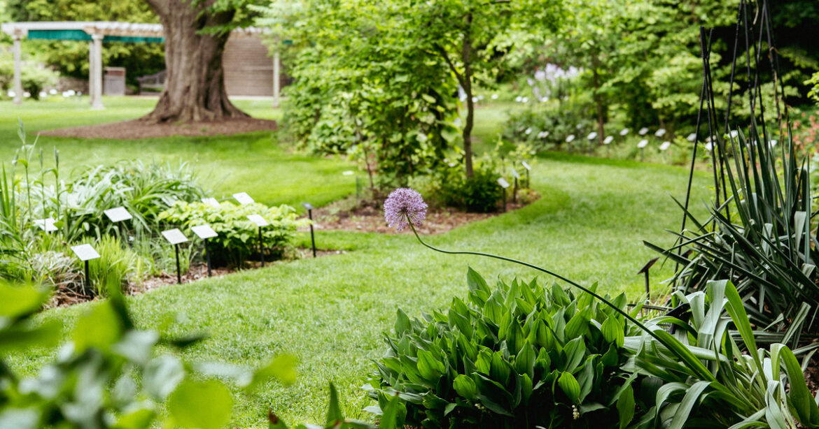 The Michigan State must-dos 