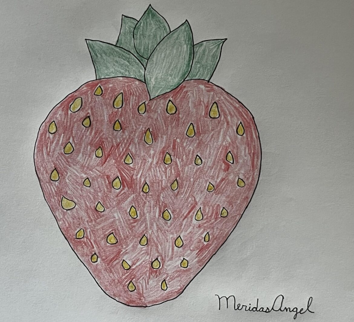 My Strawberry Drawing