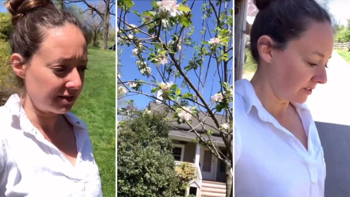 Expert reveals low-maintenance method for thriving garden: ‘So interesting’ "This was very informative!"