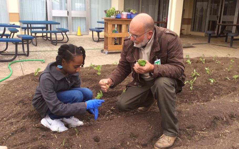 Planting the school garden 