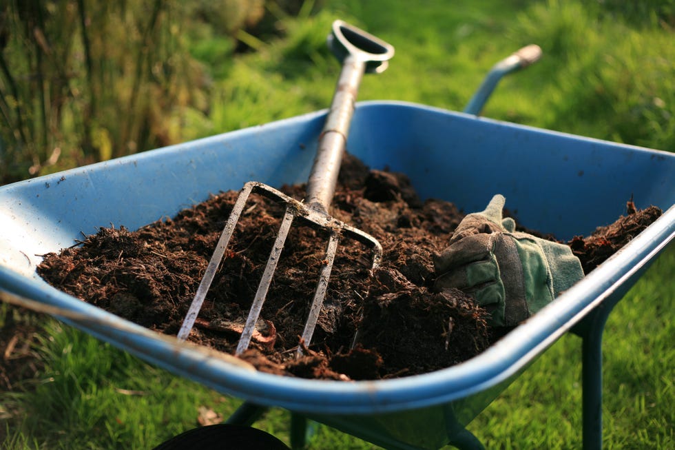 the organic kitchen gardener