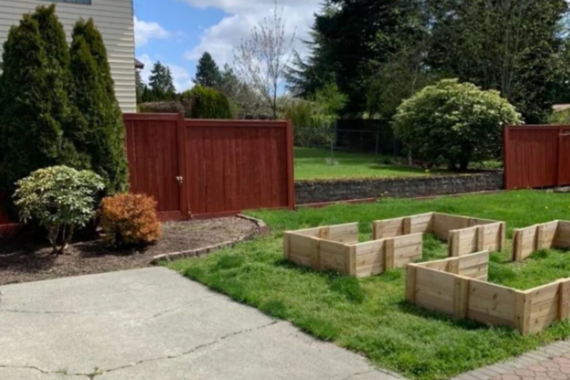 Homeowner shares stunning before-and-after photos of 2-year garden transformation: ‘Beautiful’ "You did such a great job."
