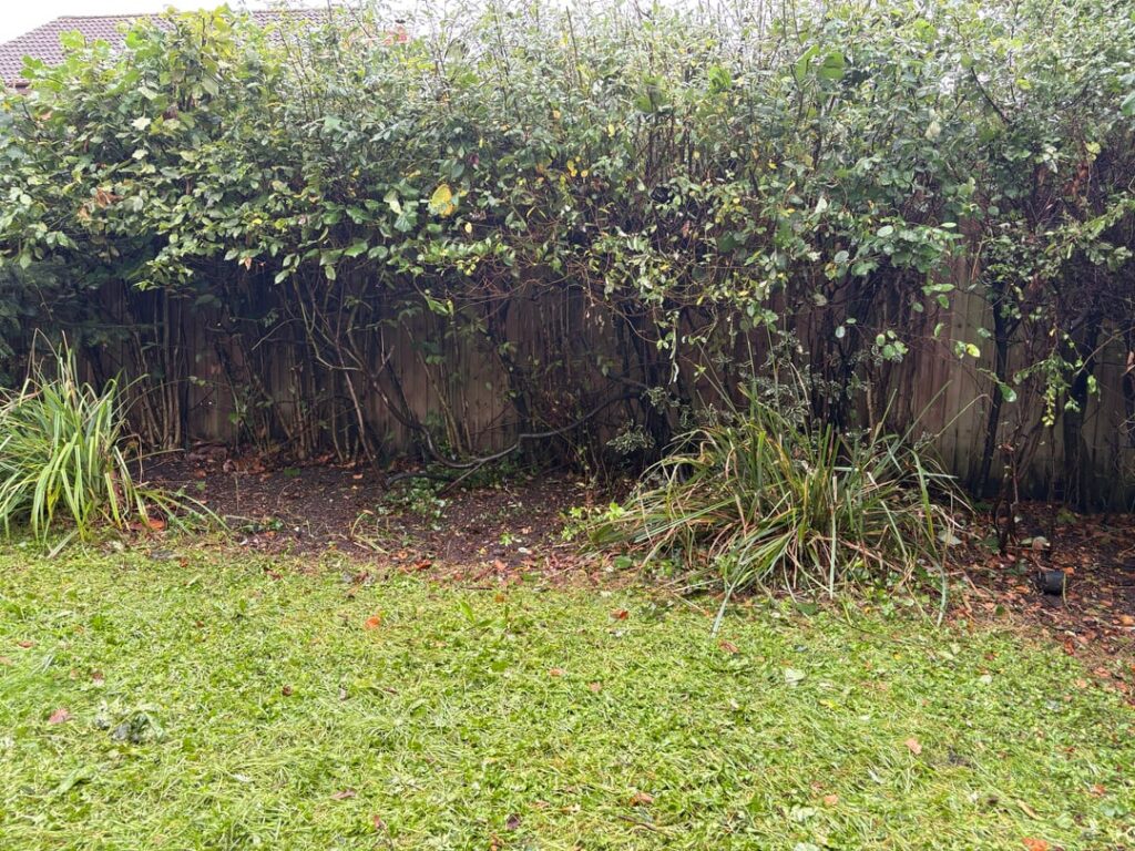 Ideas to fill space under hedge