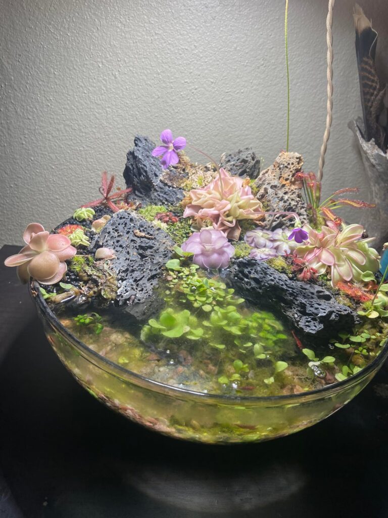 Light bulb recommendations for my Ping bowl?