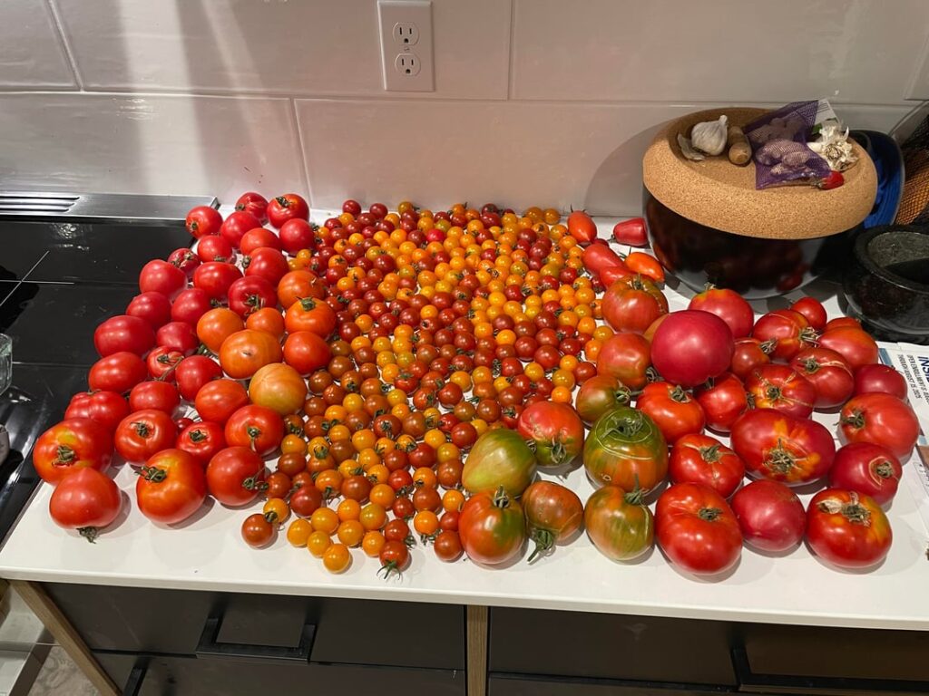 Latest Harvest