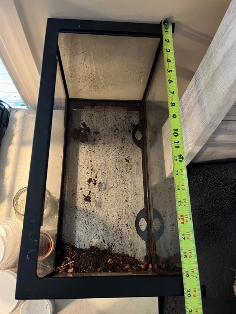 What should I put in my 10 gallon? What should I put in my 10 gallon?