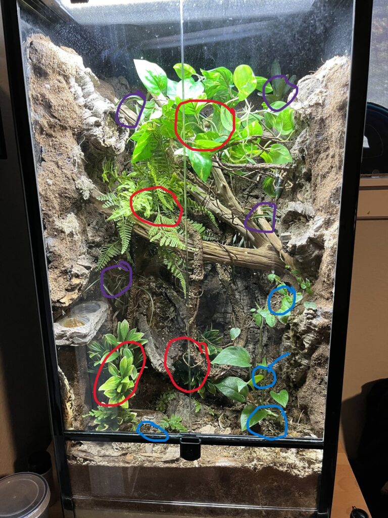Could use some help with planting advice. Could use some help with planting advice.
