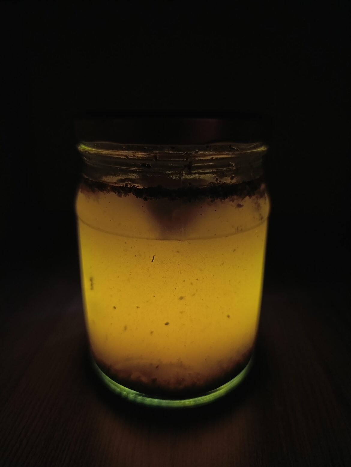 making ecosphere from cucumber brine in jar, day 1