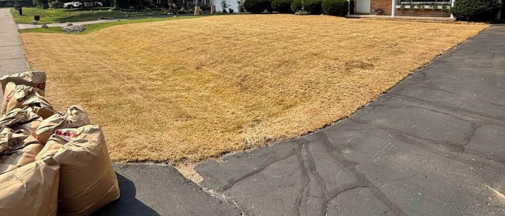 Renovation results. Renovation results.