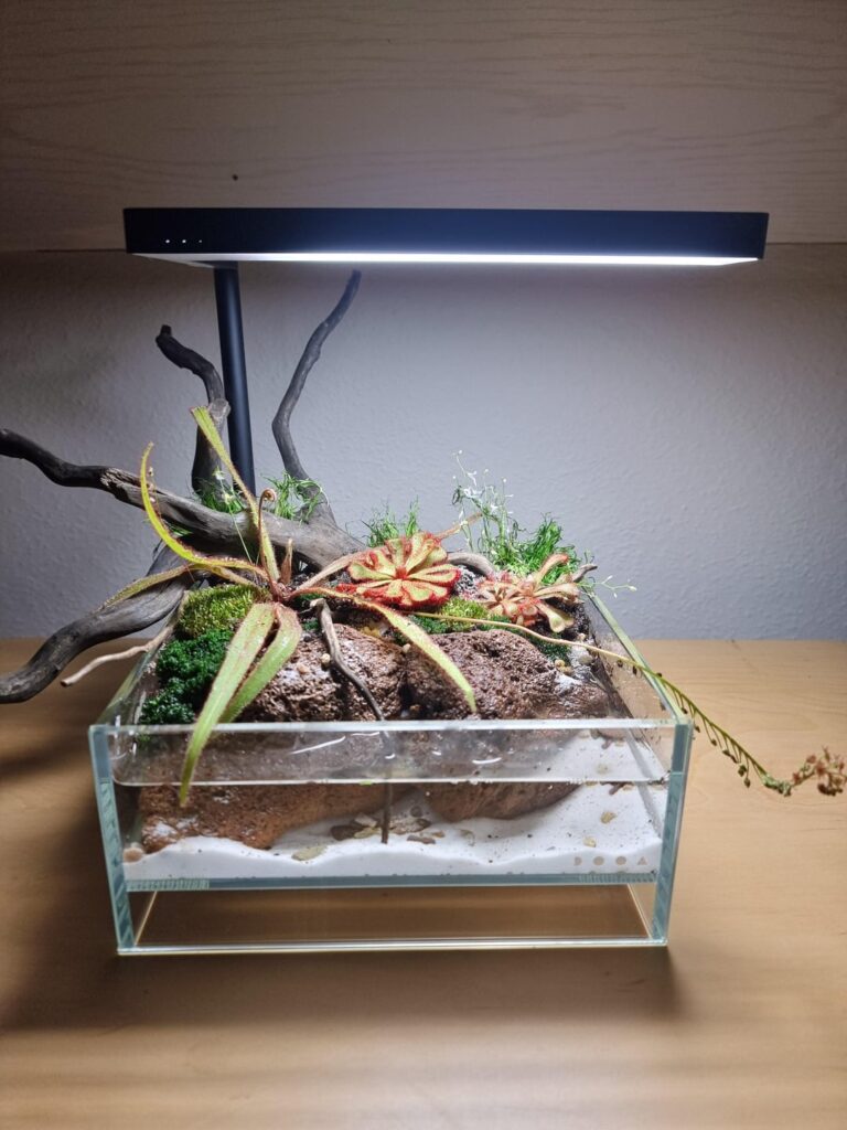 Build myself a mini bog